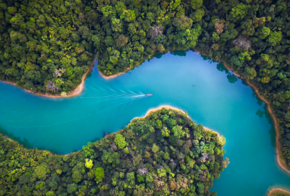 Aerial view of a winding turquoise river cutting through dense green forest