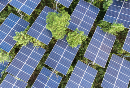 Aerial view of solar panels interspersed with green trees