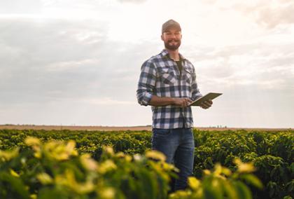 FCM Consulting Agribusiness - Summary Image