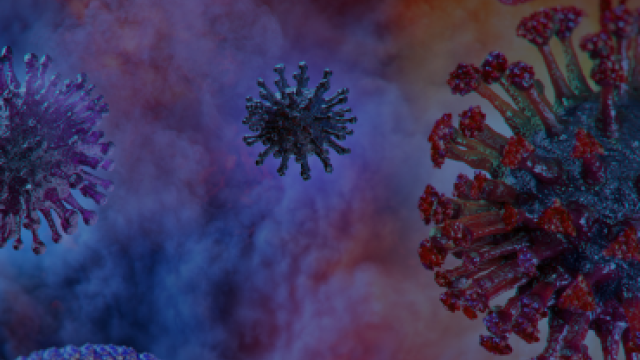 Managing business travel during the COVID-19 health crisis