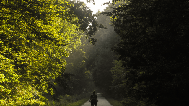 CARTA_PROVEEDORES_imagenes_solas_1200x800 (1)