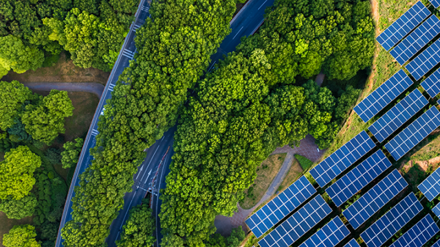 A road amongst trees and solo panels