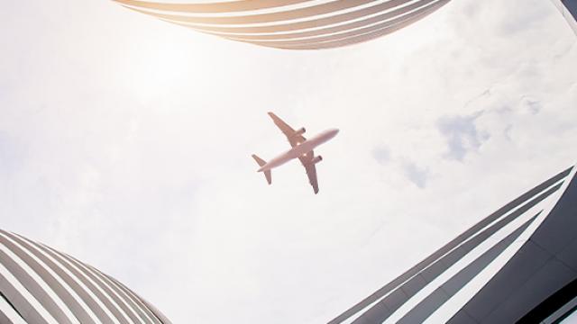 Fly Emirates to fly domestic routes to assist with local airline capacity