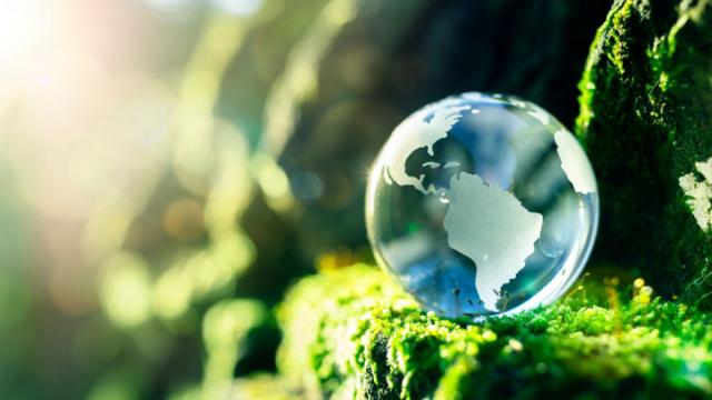 FCM puts sustainability at core of customer offering with new global net zero carbon offsetting programme