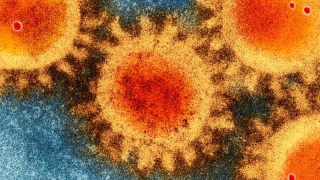 covid19 case study top banner