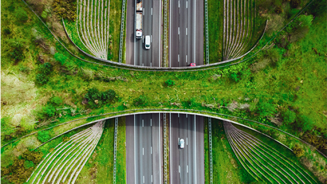 The EU's corporate sustainability reporting directive: What travel managers need to know | FCM Travel