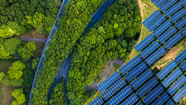 Aerial shot of blue solar panels beside lush green forest and curving road.