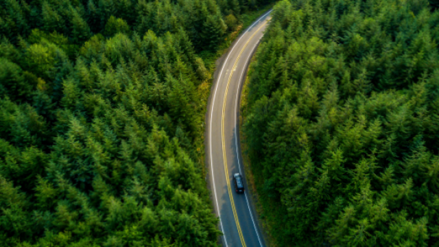 Sustainability road over a forest