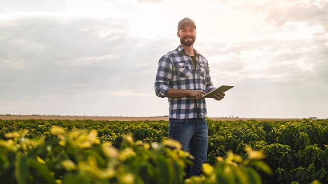 FCM Consulting Agribusiness - Summary Image