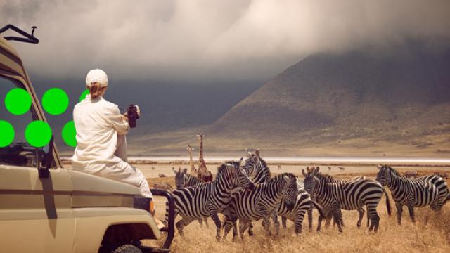fcm-travel-business-traveller-african-parks-case-study-sum