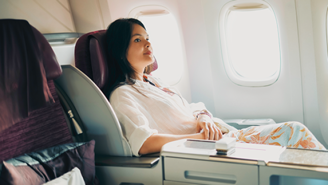 VIP business travellers, corporate travel programme