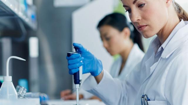 Outstanding service, outstanding results