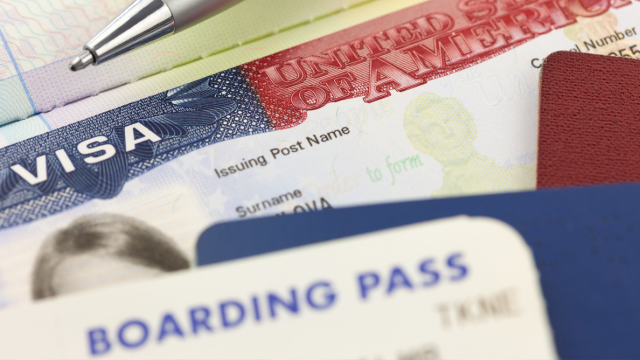 FCM_Visa delays Explained_Summary