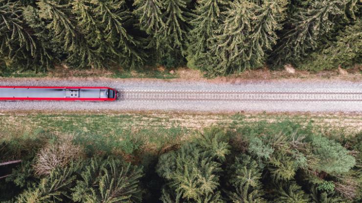 Aerial view of train amidst trees
