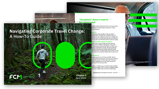 Change Management 3 pager preview