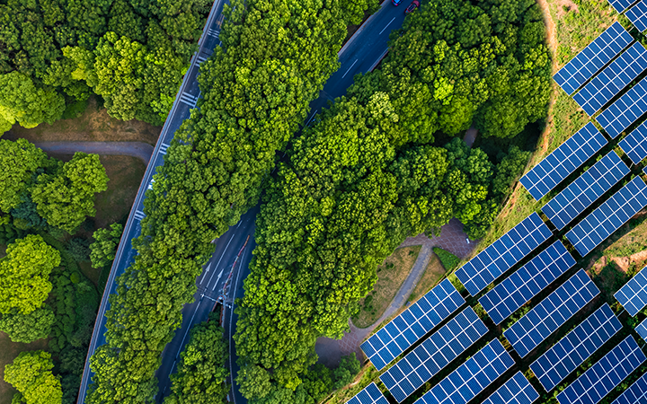A road amongst trees and solo panels
