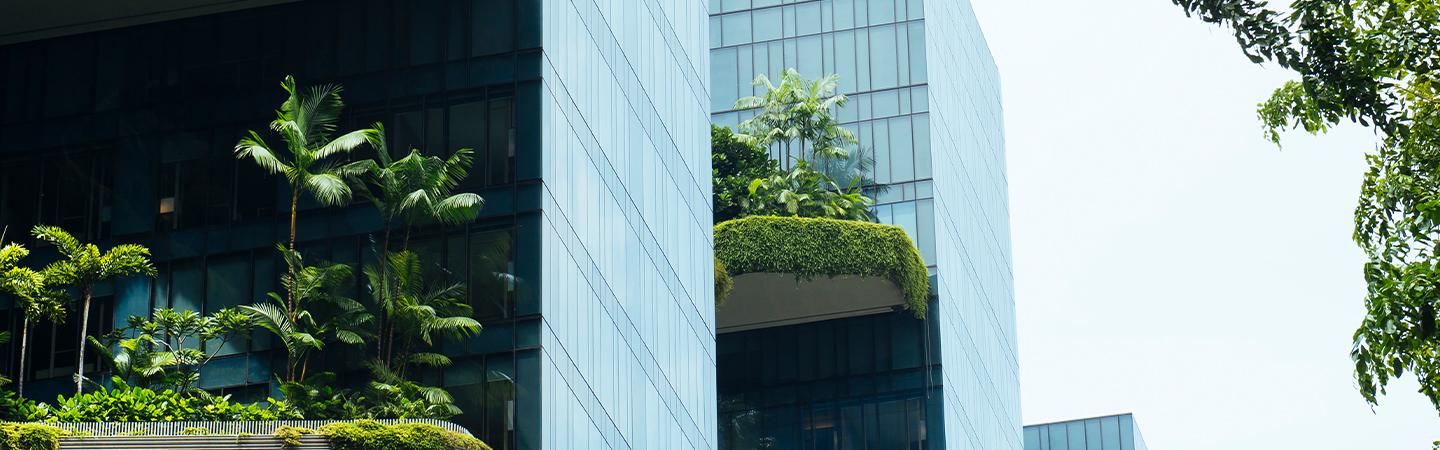 How green is your travel policy? The corporate greenwashing days are numbered!