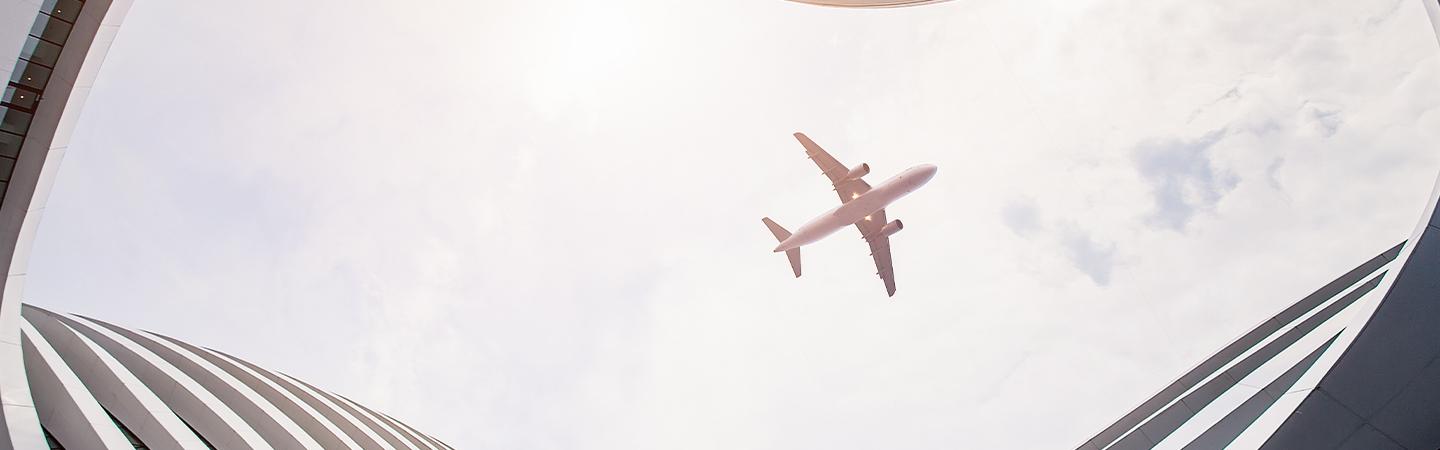 Fly Emirates to fly domestic routes to assist with local airline capacity