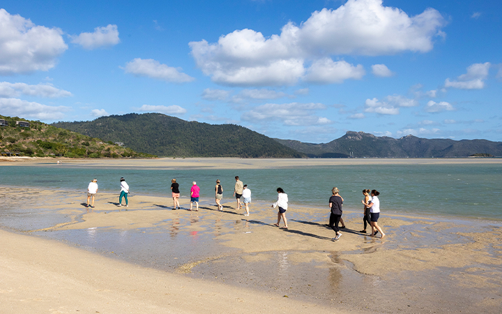 group of people walking on the beach
