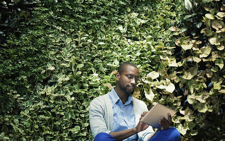 Man sitting reading against green wall sustainable