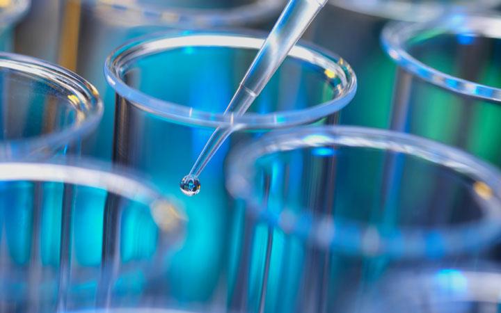 FCM provides a concierge service for these travelers to ensure that less time is spent on navigating travel complexities and more on delivering value for their core organizational mission.