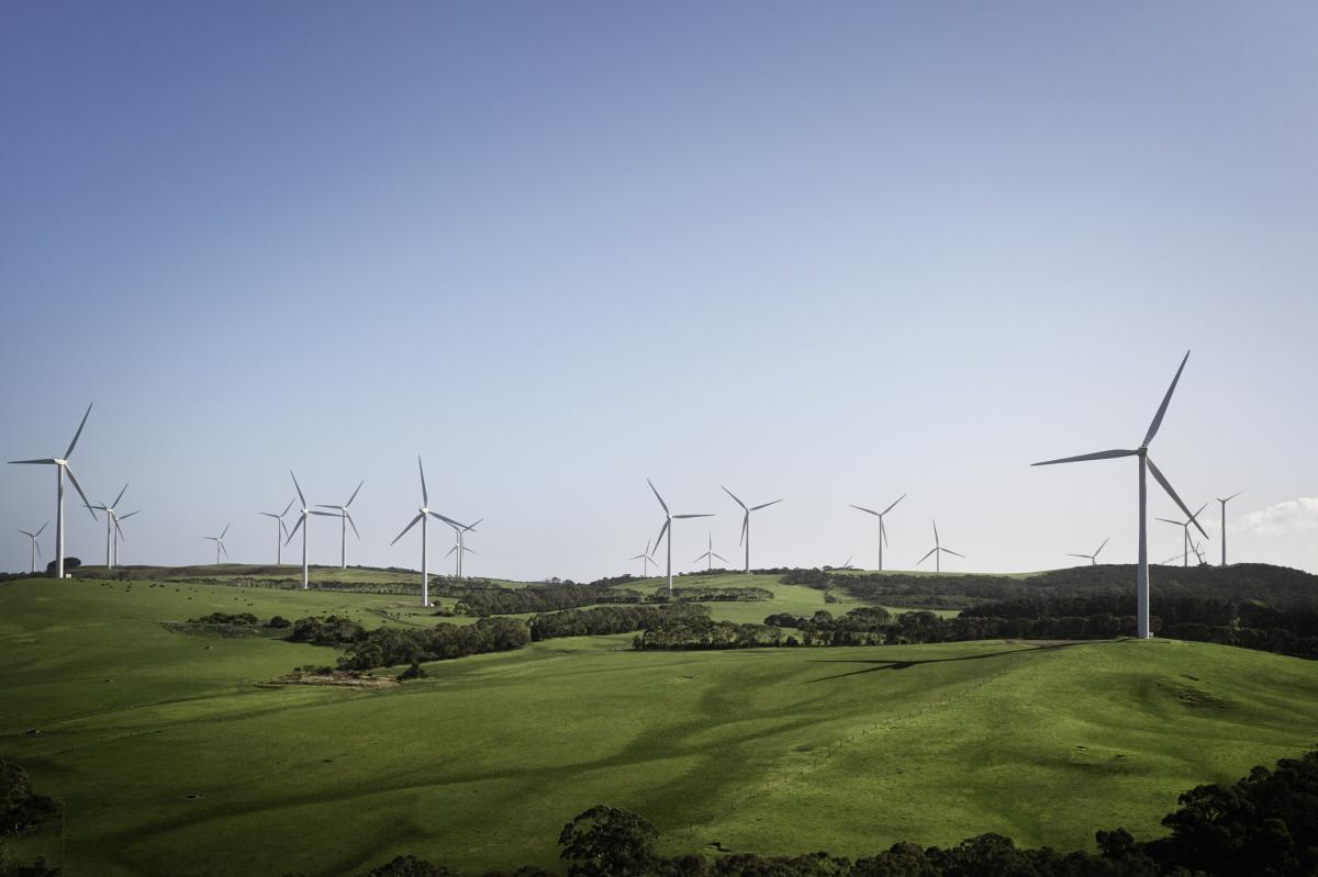 wind turbines in a green field