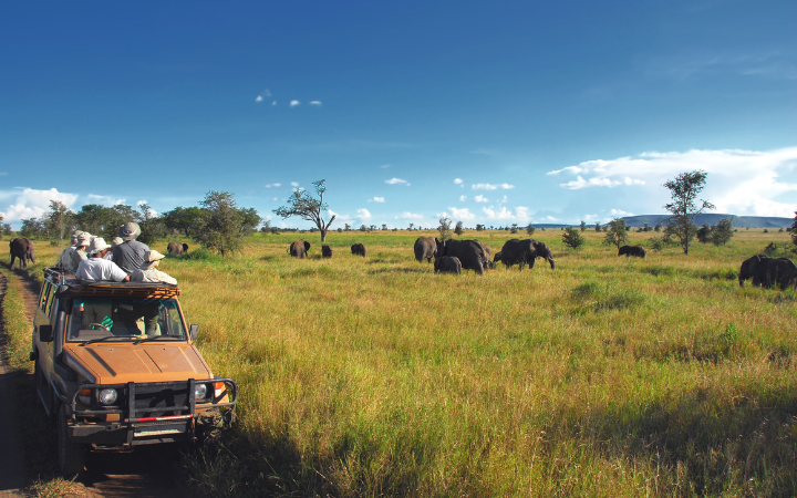 fcmme-hw-tanzania-scene