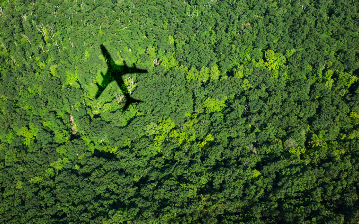 ANZ-FCM-Regional Insights Blog-4-fcm-hw-airfares.png