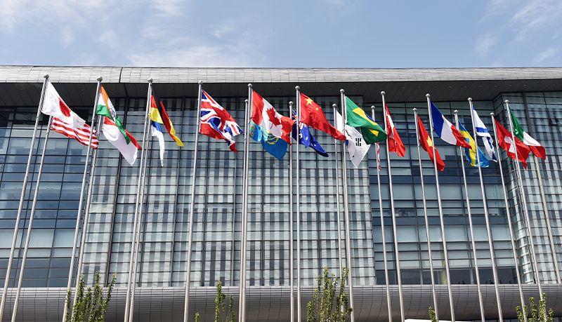 AU-FCM-HW-Government