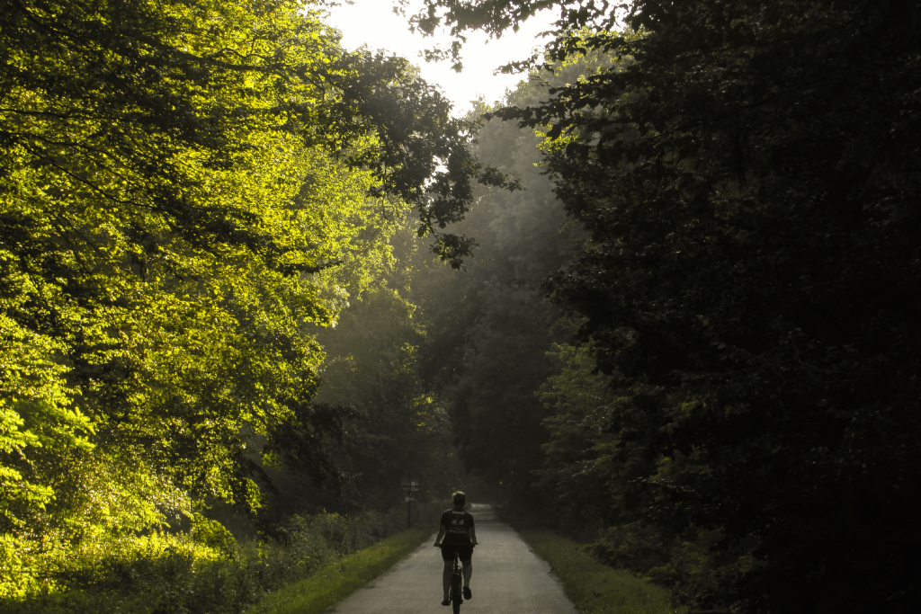 CARTA_PROVEEDORES_imagenes_solas_1200x800 (1)