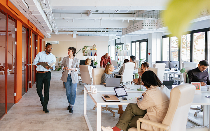 travel disruption insight