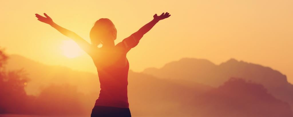 Measuring Traveler Satisfaction