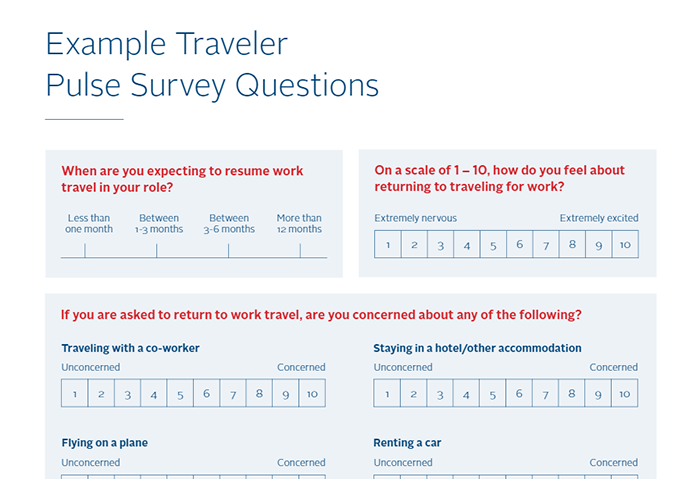 Traveler Pulse Survey Example