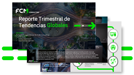 Reporte Consulting Imagen - 3 Paginas Imagen Resumen Previo