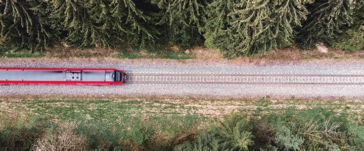 Train travelling through a forest
