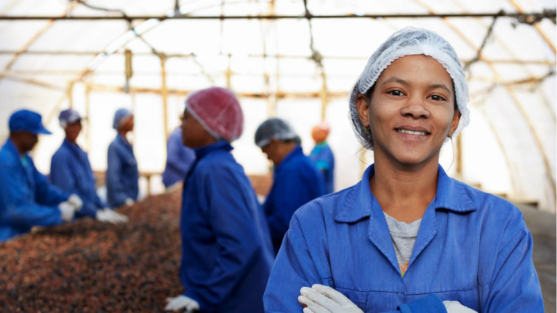 PPECB Case study Header