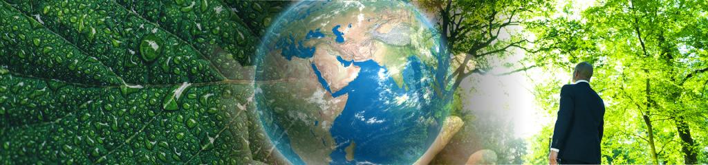 Sustainable Travel Series of White Papers