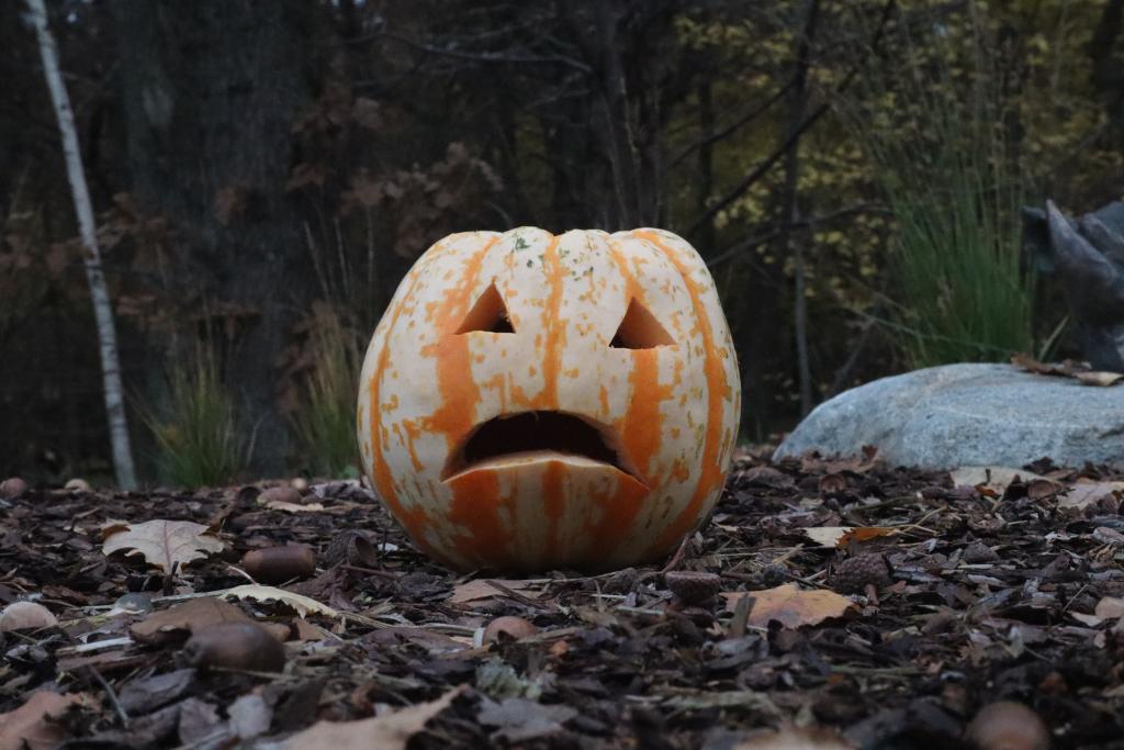 sad pumpkin