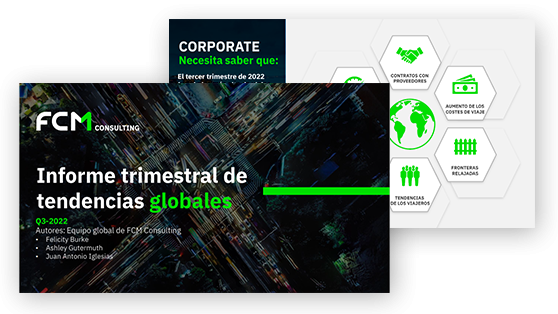 fcm-MX-consulting-report-preview-2