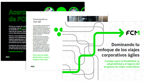 fcm-amer-ebook-preview-1-es