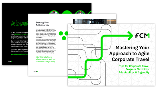 americas ebook thumbnail