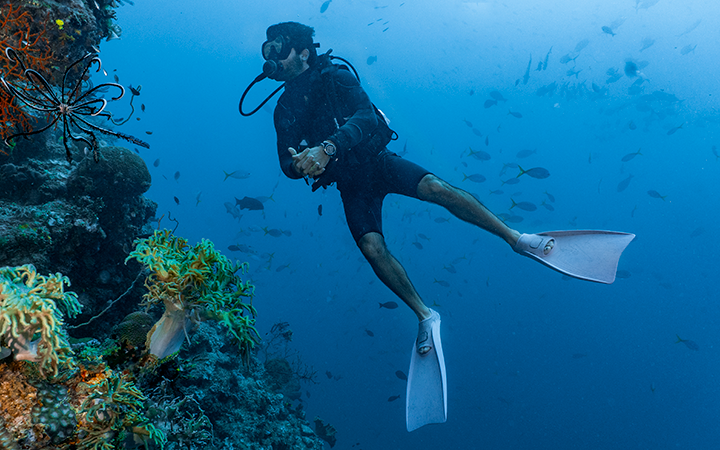 cairns, australia queensland