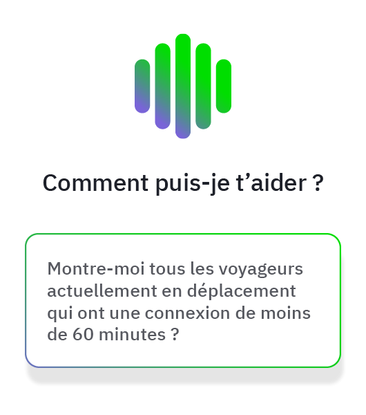 voyageurs d'affaires