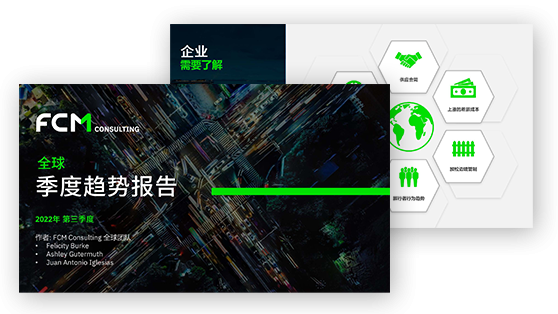 fcm-global-consulting-report-preview-ZH