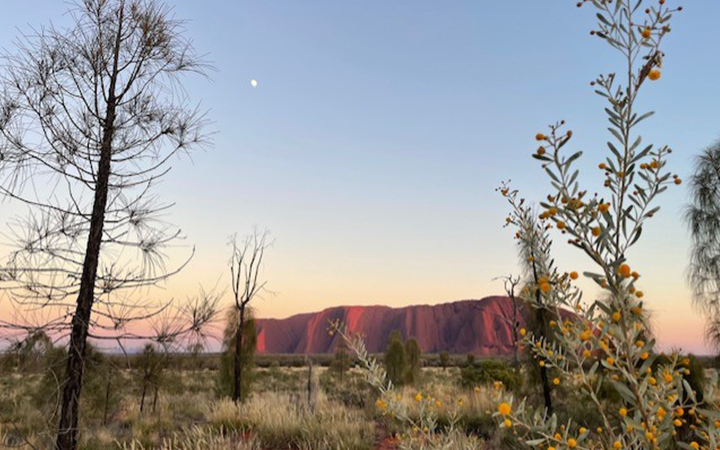 fcm-au-hw-uluru-family-view