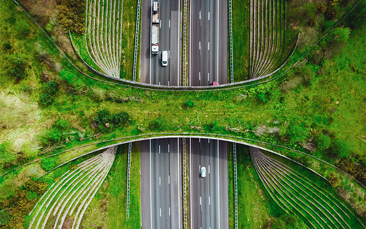 The EU's corporate sustainability reporting directive | FCM Travel