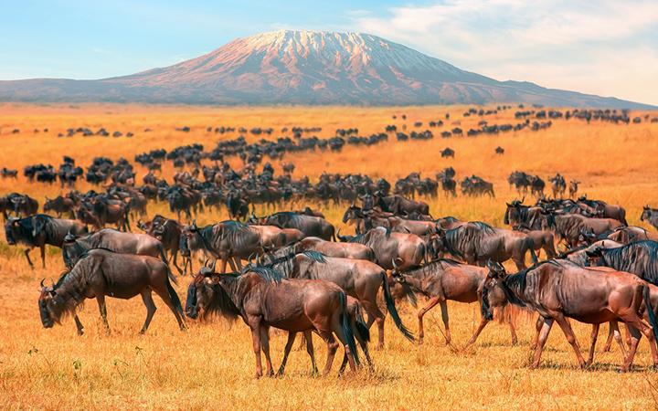 Kenya as a destination for Corporate Meetings & Events