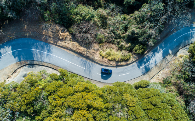 Aerial view of a winding road surrounded by lush greenery and trees.