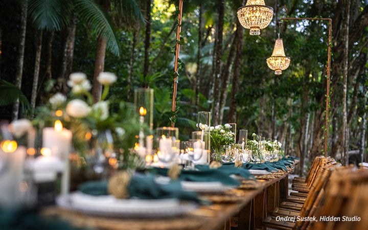 a table in the woods