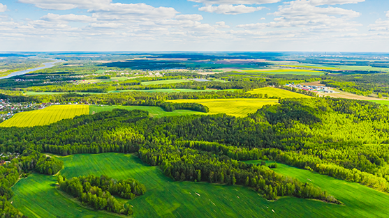 FCM's Travel suppliers are getting greener